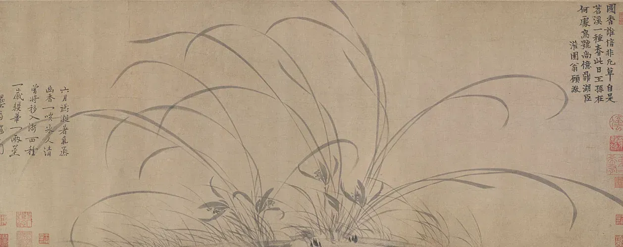 Chinese Cymbidium orchid in Chinese Painting(Painted in early 13th century)