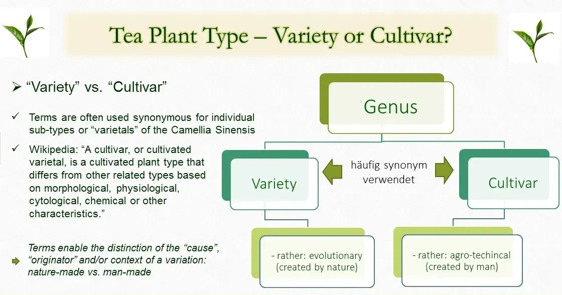 variety vs cultivar