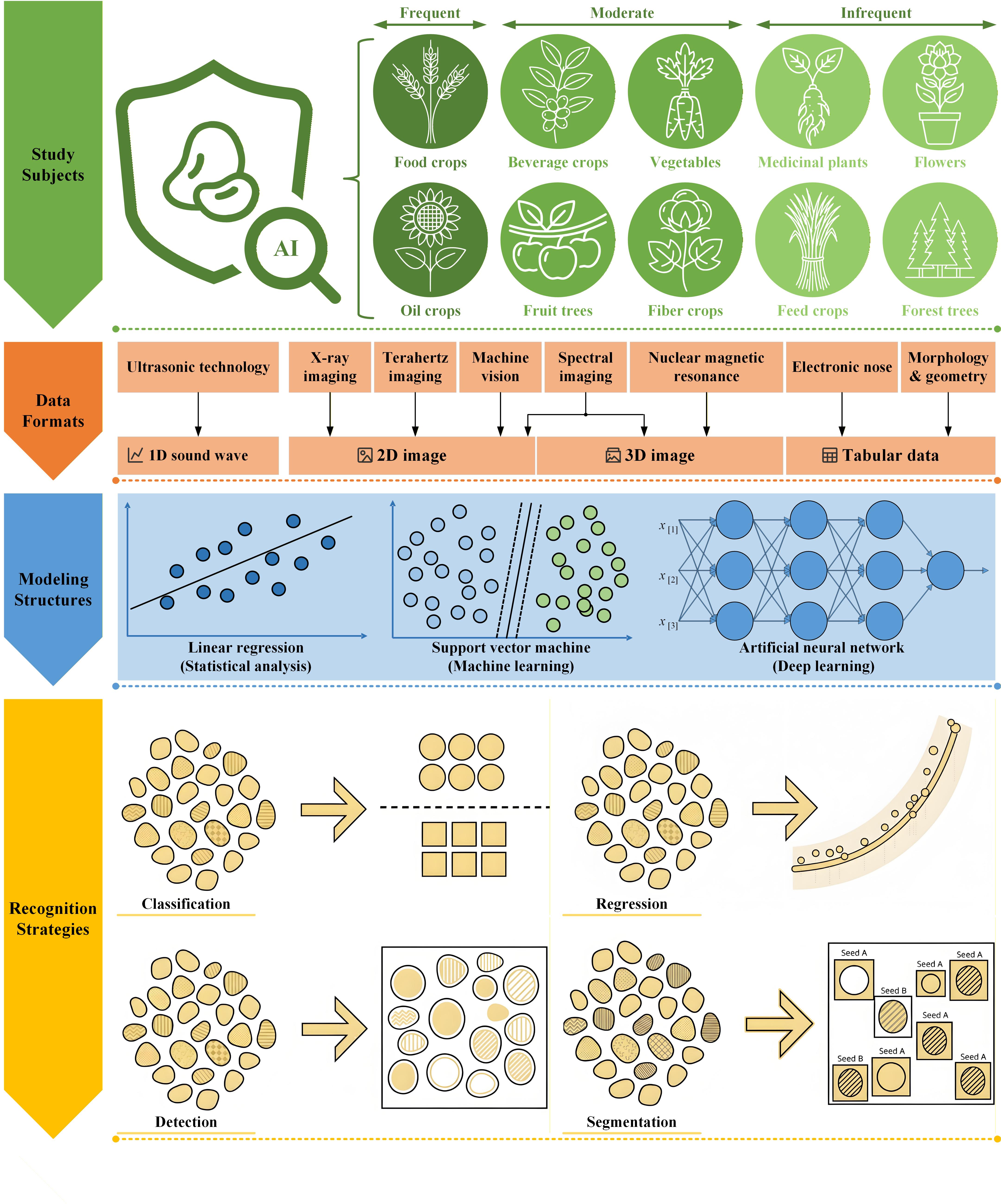 Fig. 4 AI-powered seed non-destructive analysis framework: modeling structures & recognition strategies.