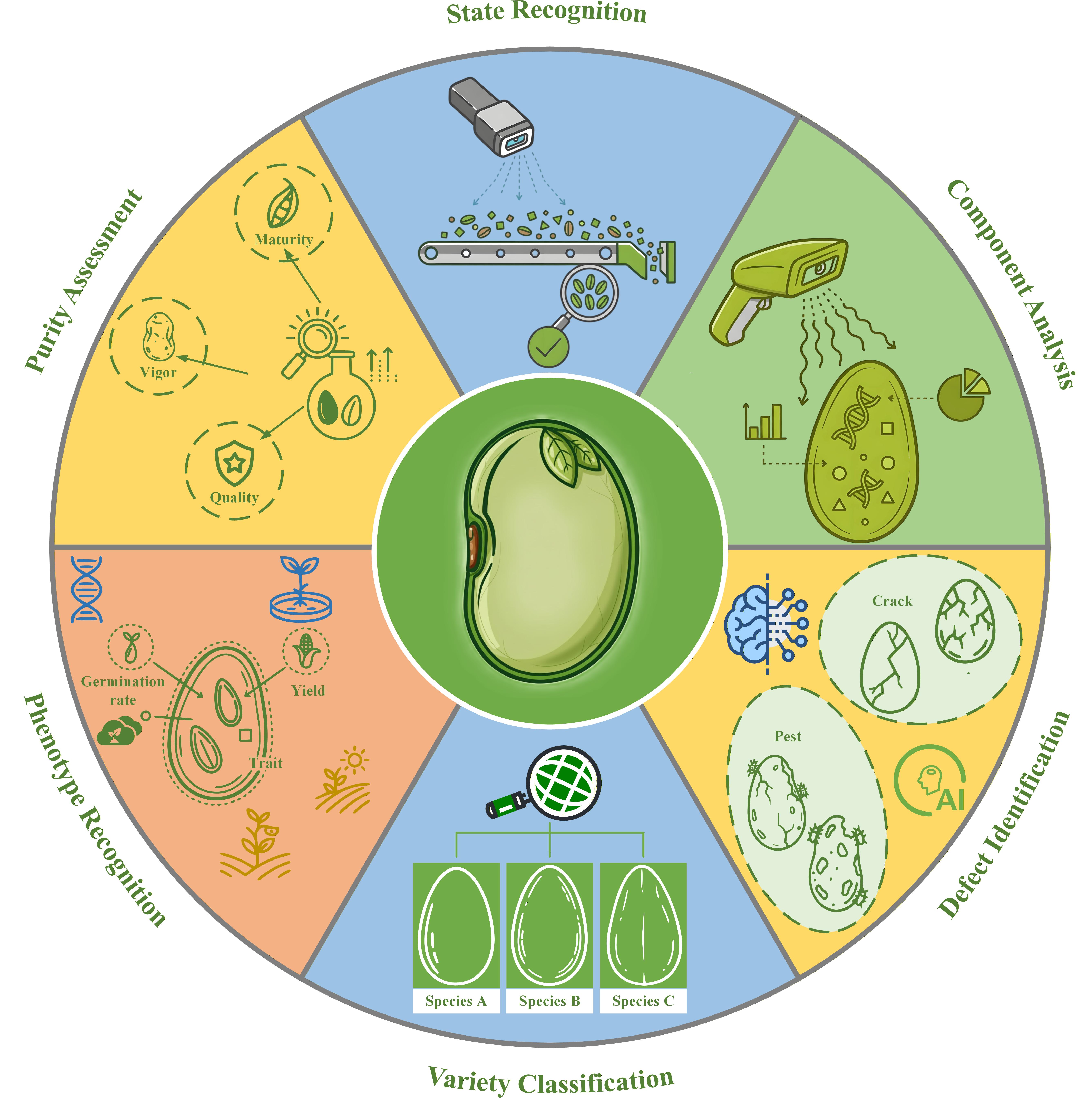 Fig. 5 Application of non-destructive detection for seeds.